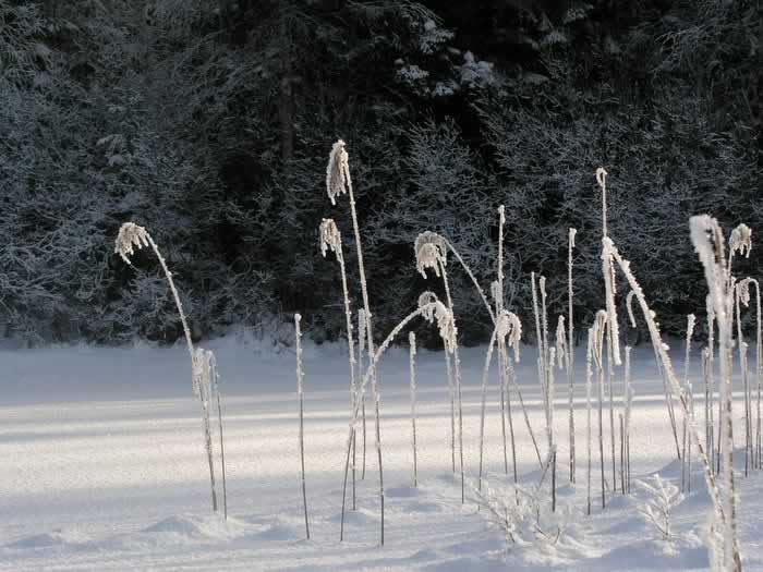 [Gryta en søndag i januar]